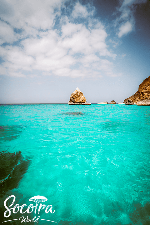 Qauher Bird Reserve, the western facade of Socotra Island, touches the waters of the Indian Ocean and is known for its pure seawater, considered the clearest in Socotra.