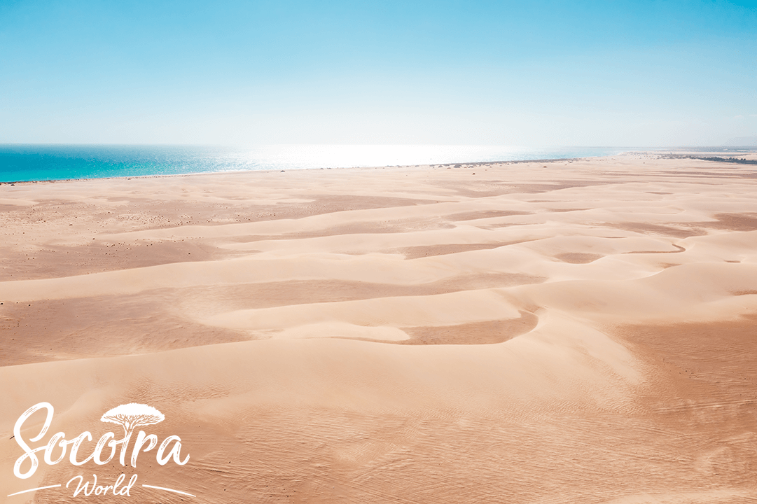 Zahek Desert, a desert with white, pure sand located in the southern part of Socotra, is perfect for disconnecting from life's worries and experiencing a world without distractions. Don't miss the chance to touch these sands to release negative energy.